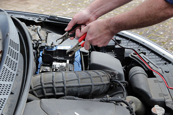 Tune-up Specials